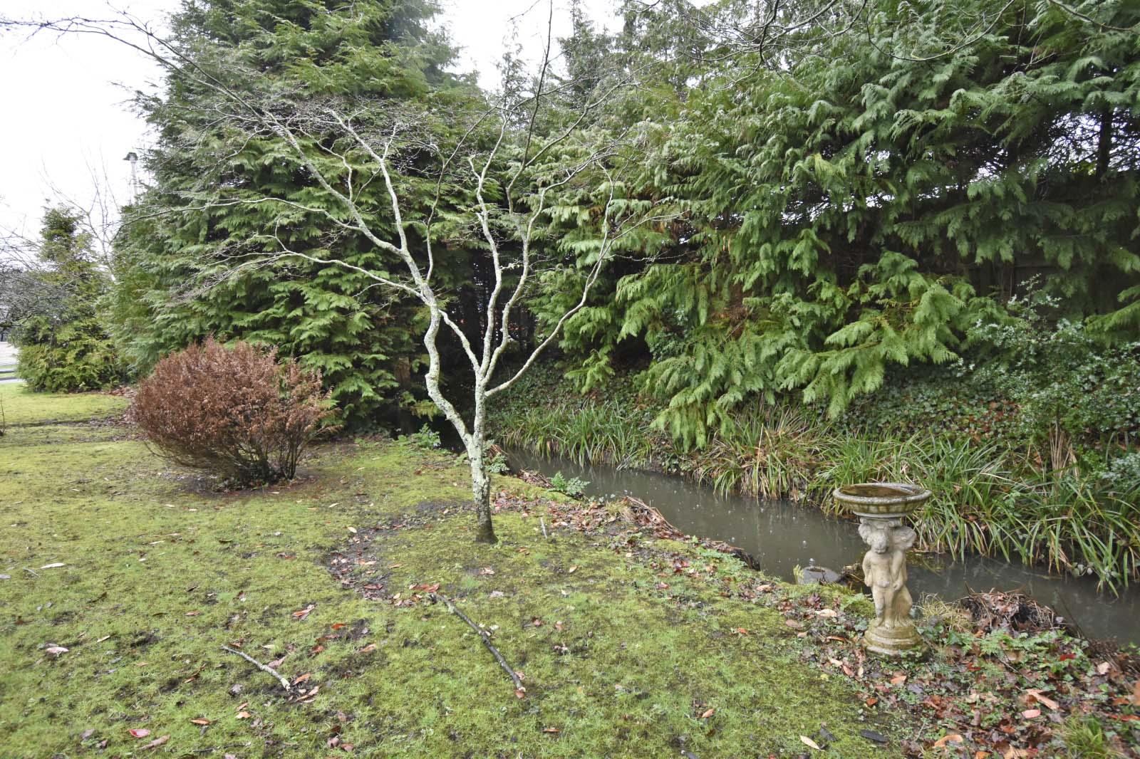 A GARDEN 3.JPG